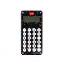 Calculator Misunderstood Genius