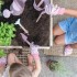 Ποτιστήρι Fairy Garden