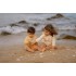 Μπλουζάκι Μακρυμάνικο Με Προστασία UV Seashells Sunny Yellow Νο98/104