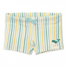 Μαγιό Σορτσάκι Stripes Multi-Colour Νο86/92