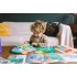 Les Ateliers - Dinoland