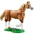 Beautiful Horse 31166