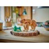Beautiful Horse 31166