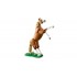 Beautiful Horse 31166