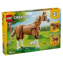 Beautiful Horse 31166