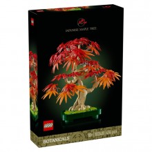 Botanical Collection – Japanese Red Maple Bonsai Tree 10348