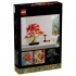 Botanical Collection – Japanese Red Maple Bonsai Tree 10348
