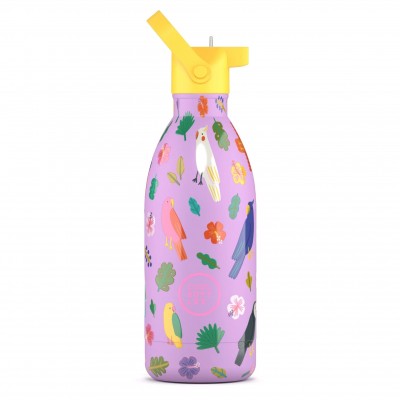 Cool Bottles Kids Ανοξείδωτο Θερμός Fly Free 500ml