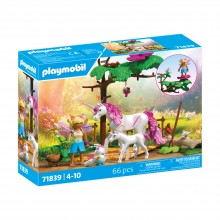 Μονόκεροι & Νεράιδα 71839