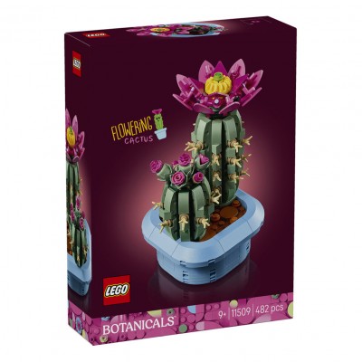 Botanical Collection – Flowering Cactus 11509