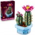 Botanical Collection – Flowering Cactus 11509