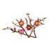 Botanical Collection – Magnolia Branches 11510